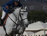 Garcia Blue Boy TosTour 2013- S5 7610 : Arezzo Equestrian Centre, Blue Boy, Garcia Juan Carlos, Toscana Tour 2013, foto di Stefano Secchi ©